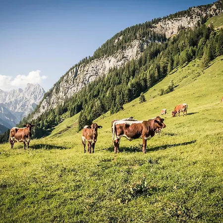 Apartmán Scheffmannlehen Nr 3 *